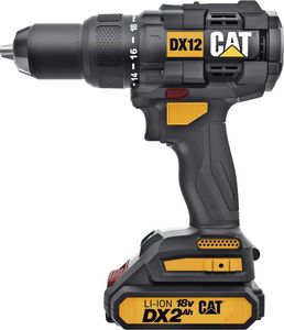 Cat dx12