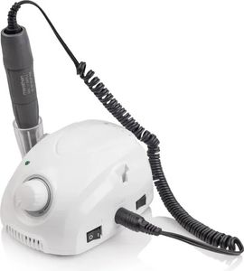 Saeyng marathon-3 champion