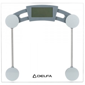 Delfa dc-3000