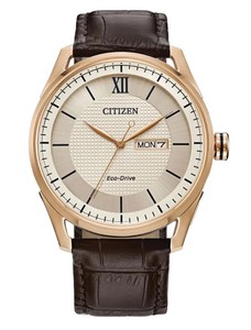 Citizen eco-drive j800-s128447