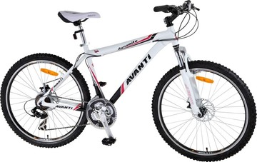 Avanti dynamite 26