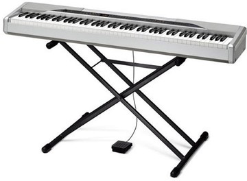 Casio px-310