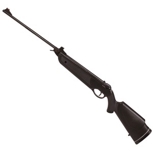 Beeman 2060 bay cat