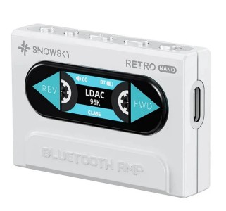 Fiio snowsky retro nano