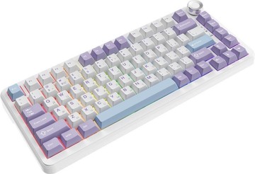 Ajazz ak820 max magnetic switches