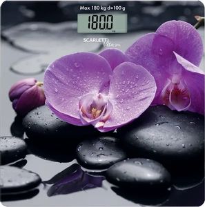 Scarlett sc-bs33e067