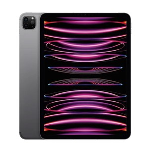 Apple ipad pro 11 2022 wi-fi + cellular 256gb