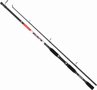 Salmo blaster spin 20 / 2.40m 5-20g