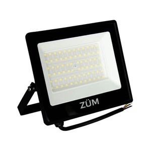 Zum f02-50 50w