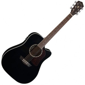 Washburn ad5ceb
