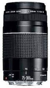 Canon ef 75-300mm f/4-5.6 iii