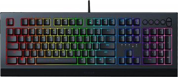 Razer cynosa v2