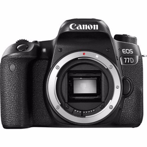 Canon eos 77d / ef 24-105mm f/4l