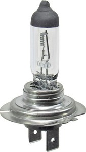 Tungram h7 24v 100w