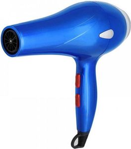 Sheen- professional hair dryer rce-3200