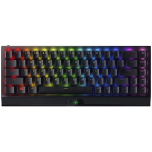 Razer blackwidow v3 mini