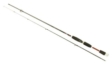 Altair 240 light