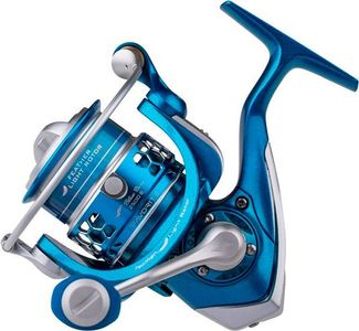 Favorite blue bird 2500s