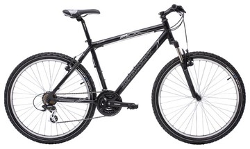 Bergamont dark dust 26