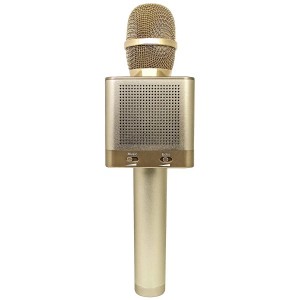 Micgeek dsp-q10s