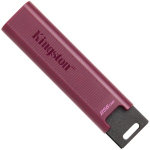 Kingston datatraveler max 256gb