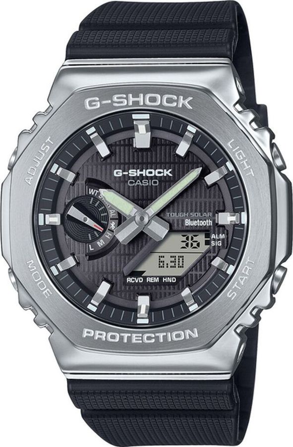 gbm-2100