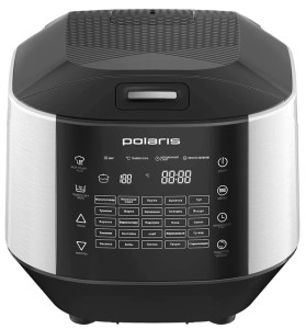 Polaris pmc 0487 ad