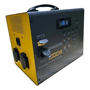 Zegor yc1100