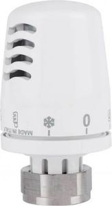 Icma без моделы